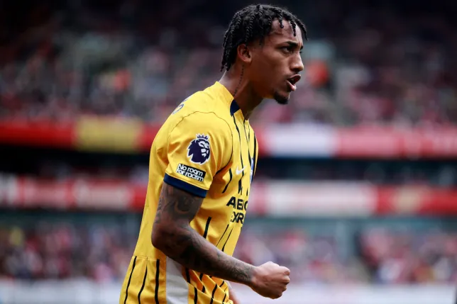 Fabian Hurzeler gives an update on Joao Pedro's fitness for Brighton squad