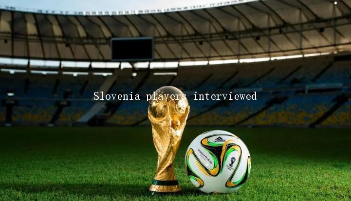 Slovenia players interviewed