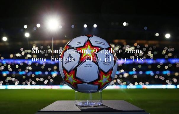 Shandong Luneng Qingdao Zhongneng Football Club player list